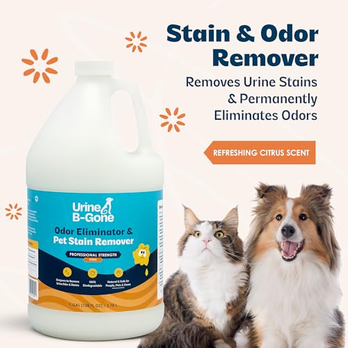 Image of Urine B-Gone, Professional Enzyme Odor Eliminator & Pet Stain Remover, Human, Cat & Dog Urine Cleaner, Effective on Laundry, Carpets & More, Citrus Scent, 1 Gallon (Pack of 2)