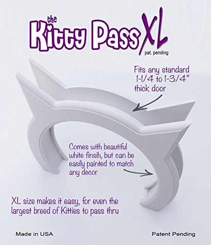 the kitty pass