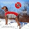 FUAMEY Dog Coat for Medium Dogs,Waterproof Dog Winter Jacket with Harness Built in Puppy Cold Weather Coats Reflective Pet Vest with Zipper Warm Fleece Dogs Snowsuit Windproof Red M #3