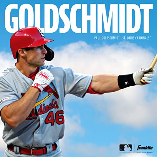 Image of Franklin Adult MLB Digitek Batting Gloves
