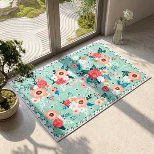 GRANNY SAYS Front Door Mat Indoor Entrance, Indoor Doormat, 2' x 3' Washable Mat, Low Profile Stain Resistance Mats for Entryway, Porch Rug, Aqua Floral