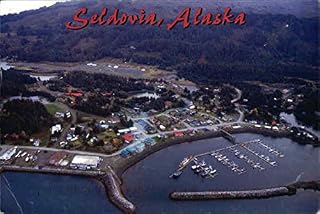Aerial View of Seldovia Seldovia, Alaska AK Original Vintage Postcard 2011