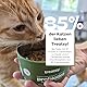 Treatsy Ergänzungsfuttermittel für Katzen – Verdauung – Gegen Durchfall & Verstopfung – Prä- & Probiotika, Flohsamenschalen – Von Tierärzten empfohlen