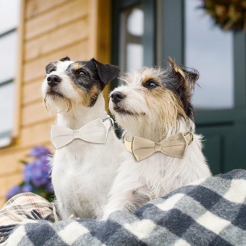 KTWSUEF Hundehalsband Samtiges, mit Abnehmbarer Hunde Fliege, Komfortable Verstellbares Samtige Halsband Hund, Geeignet für Hunde Kleine Mittel große Hunde, Für Hochzeiten, Geburtstage, Partys usw
