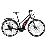 HEPHA E-Bike Trekking 5.0 Damen Elektrofahrrad 70Nm Shimano E8000 Mittelmotor Pedelec 504Wh Abnehmbare Akku 10-Gang Ebike 28 Zoll (Schwarz, RH 44cm)