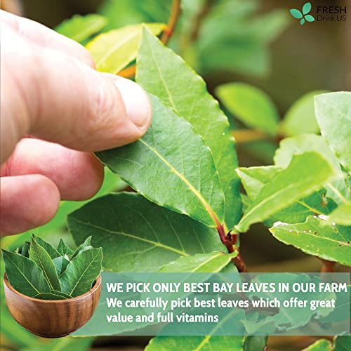 200+ Premium Dried Bay Leaves, Bay Leaf Tea, Organic, Whole Nice Leaves, Non Gmo, Sugar Free, Gluten Free, Caffein Free, Vegan, Witchcraft, Fresh Harvest, Bay Leaves For Cooking #TOP3