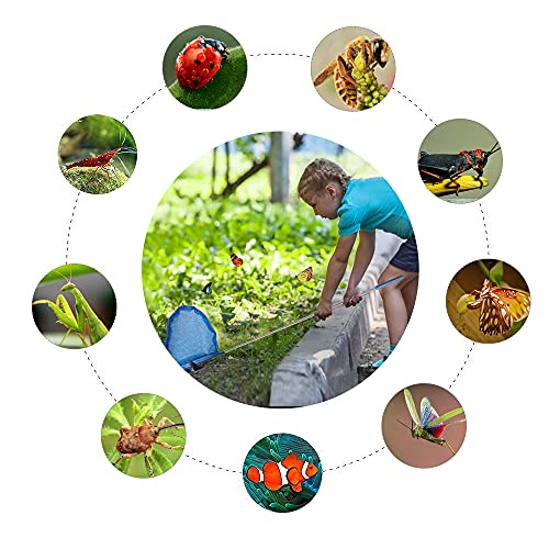 Naodongli Kids Telescopic Butterfly Fishing Nets Perfect Outdoor Tools Colorful For Catching Insects Bugs Fish Ladybird Caterpillar Nets Extendable 34" Inch And Anti Slip Grip #TOP4