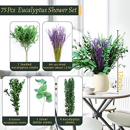 78 Pcs Mix Dried Eucalyptus & Lavender Flowers For Shower, 17'' Natural Real Live Eucalyptu Hanging Stems Bundle, Silver Dollar Leaves Greenery, Shower Plants, Fragrance, Purify Air Decor, Vase Filler #TOP1