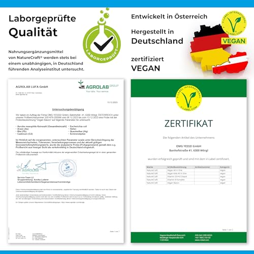 Vegan Basics - Vitamin B12+D3+K2+B2+B9 Folsäure + Eisen + Jod - Komplex mit 120 Kapseln (4 Monats-Vorrat)