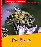 Thienemann-Esslinger Verlag GmbH