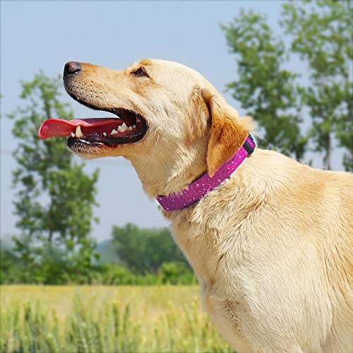 TDTOK-Glittering-Basic-Dog-Collar-Comfy-Durable-Dog-Collar-for-Small-Medium-Large-Dogs-with-Eco-Friendly-Plastic-Buckle-Adjustable-Stylish-Nylon-Dog-Collars-Fit-Necks-98-224-M-Rosy
