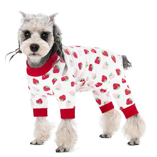 ̎pJo[X[cÃW[pjÃpW}A^W[AnюpX[cAEїpL񕜃X[c