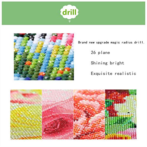 DIY 5D Diamond Painting by Number Kits, Crystal Rhinestone Embroidery Paint with Diamonds, Indoor Wall Decoration Gifts Arts and Crafts (BKZS-01) - Thumbnail 5