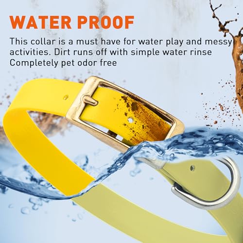Image of Viper Biothane Heavy Duty Waterproof Dog Collar Strong Coated Nylon Webbing w /Solid Brass Hardware Odor-Proof for Easy Care to Clean High Performance Fits Small Medium or Large Dogs, Lemon Yellow