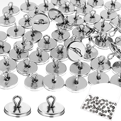 180 Pieces Plant Trellis Anchor Climbing Plant Anchor Vine Trellis Anchor Vine Design Anchors Plant Trellis System Kits with Storage Box for Wall Climbing Plants and Trellis Vine Supplies