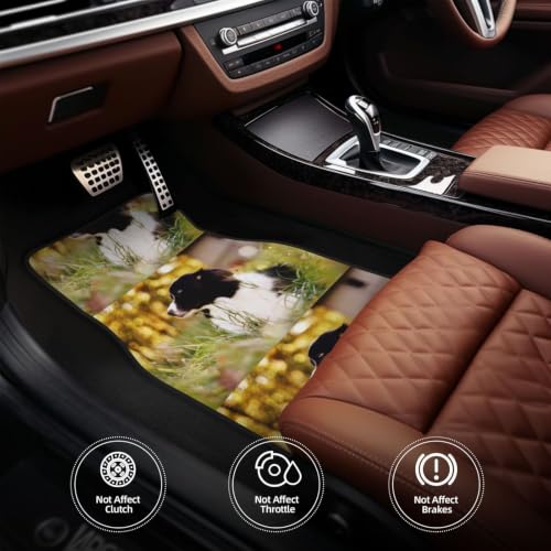 Alfombrillas Border Collie para proteger el coche tras el paseo 5