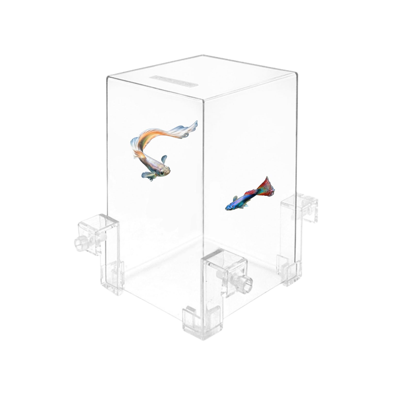 Amazon | アチスメル フィッシュタワー 魚タワー 負圧水槽 空中