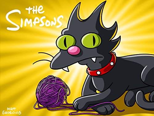 The Simpsons Season 5