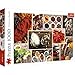 Trefl TR10470 Die Gewürze, Collage 1000 Teile, Premium Quality, für Erwachsene und Kinder ab 12 Jahren Puzzle, Farbig