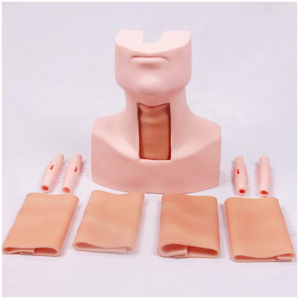 Sjdopulse Manikin Teaching Model - Tracheal Intubation Training Simulator Model - Ring-Shaped Membrane Puncture Tracheotomy Model - For Medical Educational Training Aid