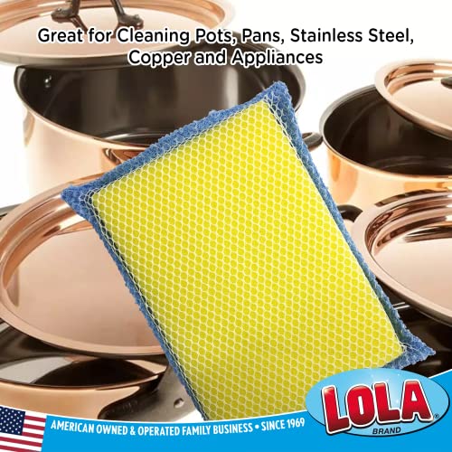 Image of LOLA Microfiber Terry & Nylon Net Sponge Scrubber Pad, Non Scratch 2-Way Cleaning, Gently Scrubs & Wipes Clean, 1 Count