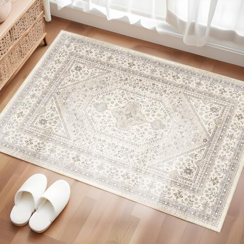 2x3 Boho Entryway Rug