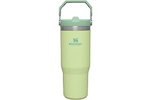 IceFlow Stainless Steel Tumbler with Straw - Citron Stanley 40oz