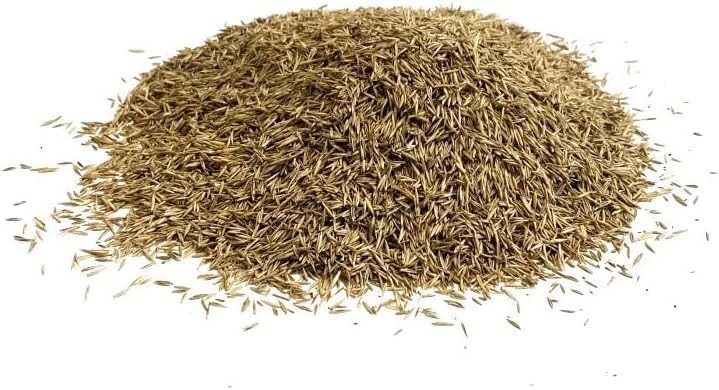 Shady Area Lawn 200g Seed Grass Shade ( Covers 4 Square metres ) SLMH