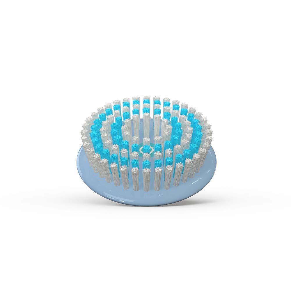 TAO Clean Replacement Daily Care Brush Heads, Replacement Heads (2 Heads) – Daily Care Brush Replacement Heads for the TAO Clean Electric Face Cleansing Brush and Cleaning Station : Beauty & Personal Care