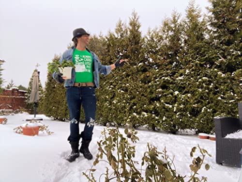 Mens I Always Carry A Little Pot With Me T Shirt Funny Saint Patricks Day Patty Crazy Dog Men's Funny T Shirts Premium Cotton Blend Graphic Tees Green Xl #TOP7