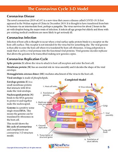 Image of NewPath Coronavirus Cycle 3-D Paper Model Model Making Kit - Individual Student Edition (24-7716)
