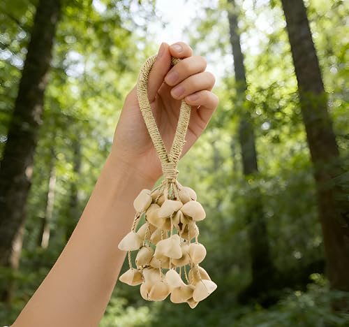 Sound Healing Instrument Natural Shaker Seed Rattle Hand Percussion Gifts Instruments Accessories (Chacha)