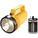 Eveready(R) Utility Lantern
