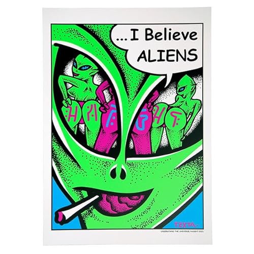 HAIGHT �w�C�g ALIENS Silk Screen Poster �V���N�X�N���[�� �|�X�^�[ �C���e���A ���K�戵�X Artwork by TEXTA �}���`�J���[ A3�T�C�Y HTAW-237001