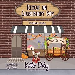 『Rescue on Gooseberry Bay: Orphan Andy』のカバーアート