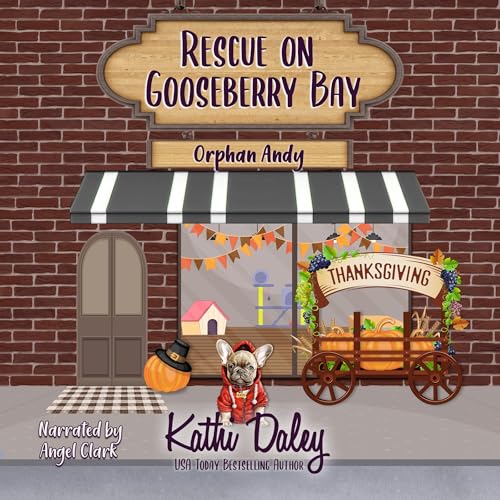 Rescue on Gooseberry Bay: Orphan Andy Audiolivro Por Kathi Daley capa