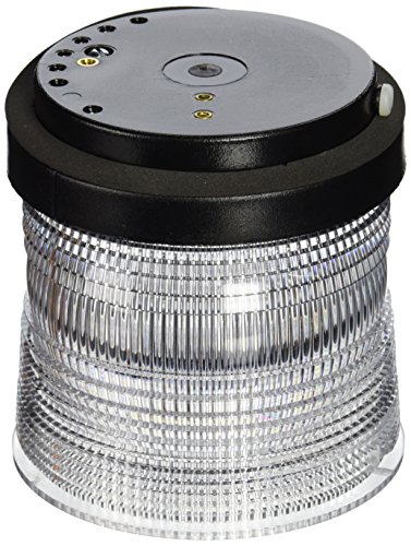 Edwards Signaling 101SINC-E1 - Lámpara incandescente (12 V CC, transparente)