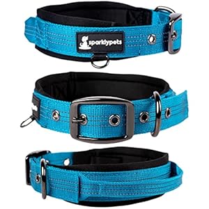 SparklyPets Heavy Duty Dog Collar with Handle for Medium and Large Dogs – Professional Collar with Reflective Stitches, Soft Handle & Nickel-Plated Buckle (Medium (14,5″~18,5″), Blue)