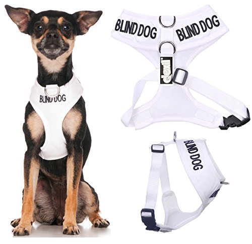 Blind Dog (Dog Has Limited/No Sight) White Color Coded Non-Pull Front And Back D Ring Padded And Waterproof Vest Dog Harness Prevents Accidents By Warning Others Of Your Dog In Advance (Xs) #TOP15