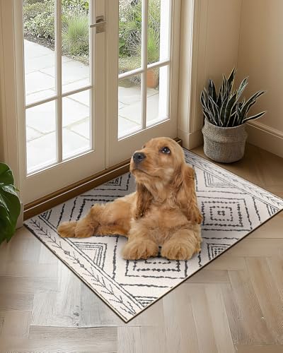 DEFYNEE Schmutzfangmatte 60 x 90 cm, rutschfeste Türmatte für Eingang, Haustür & Flur, Wasserabweisend, Maschinenwaschbar, Ideal für Hund & Haustiere, Marineweiß/Schwarz