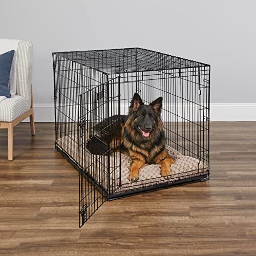 MidWest Homes for Pets iCrate Hundebox, klappbar, 1 Tür, Trennwand, auslaufsichere Bodenwanne, sichere Verriegelungen, Drahtgitterbox für extra große Rassen, tragbar, robust, leichter Aufbau, 122 cm
