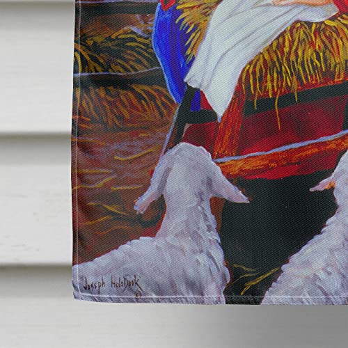 Drapeau Nativité extérieur résistant au vent grand format double face pour maison - 5