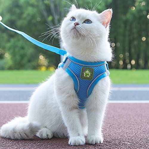 FEimaX Hundegeschirr mit Leine für Kleine Mittele Hunde Katzen Weich Mesh Welpengeschirr Atmungsaktive Brustgeschirr Verstellbare Reflektierend No Pull Weste Chihuahua Katze