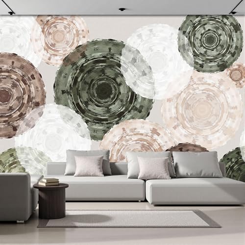 Poster mural cercles concentriques 400x280cm lavable et résistant