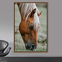 Framed Canvas Wall Art Horse Animals Dramatic Farmhouse/Country Horse Living Room Multicolor Photography - 16x24 inches