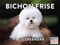 Vista 99 de Calendario de cachorro Golden Retriever 2027 mensual de pared de 12 meses