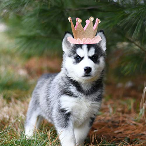 ULTECHNOVO 2Pcs Pet Coroa De Aniversário Chapéu Do Aniversário Chapéu E Bandana Do Cão Filhote de Ca