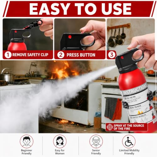 Small Fire Extinguisher 2-Pack