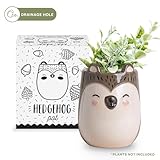 Apa la Papa, Porcupine Animal Ceramic Planter for Indoor and Outdoors, 3 x 3 x 4 in., Cute Hand Painted Designed in Argentina, Convenient Drain Hole
