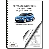  VW Polo 5 Typ 6C 2014-2017 Fahrwerk Achsen Lenkung Reparaturanleitung